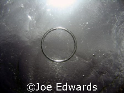 Bubble Ring by Joe Edwards 